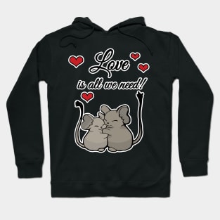 Love is all we need Hoodie